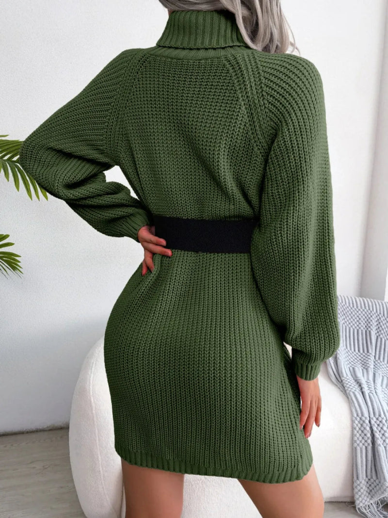Decorative Button Turtleneck Sweater Dress - Diverse Creations & Companysweater dressDark Green