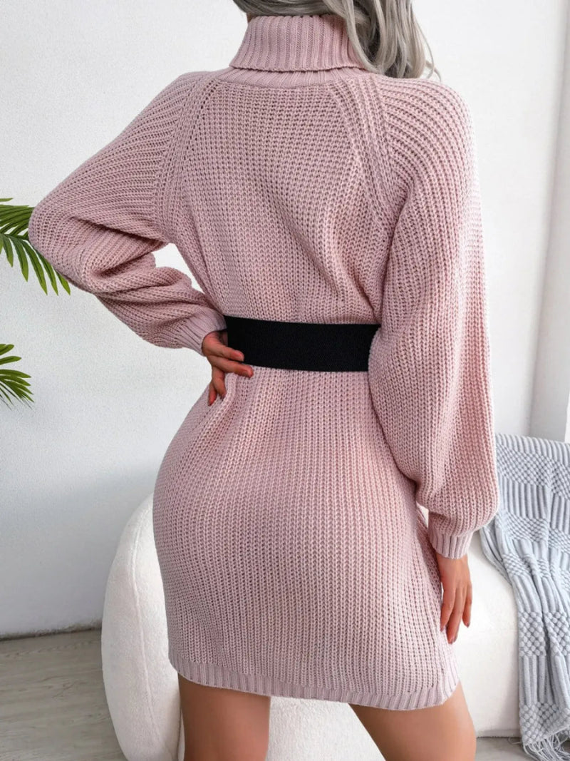 Decorative Button Turtleneck Sweater Dress - Diverse Creations & Companysweater dressDusty Pink