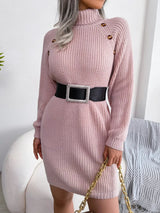Decorative Button Turtleneck Sweater Dress - Diverse Creations & Companysweater dressDusty Pink