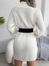 Decorative Button Turtleneck Sweater Dress - Diverse Creations & Companysweater dressWhite