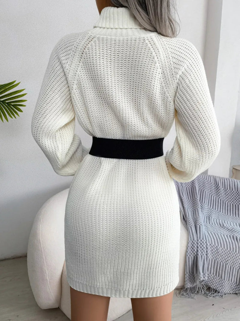 Decorative Button Turtleneck Sweater Dress - Diverse Creations & Companysweater dressWhite
