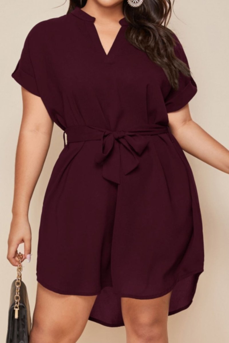 Plus Size Notched Tie Waist Mini Dress - Diverse Creations & CompanyPlus Size Notched Tie Waist Mini DressBurgundy