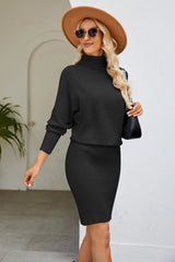 Slim Fit Ribbed Dress with Mock Neck & Long Sleeves - Diverse Creations & Companysweater dressBlack